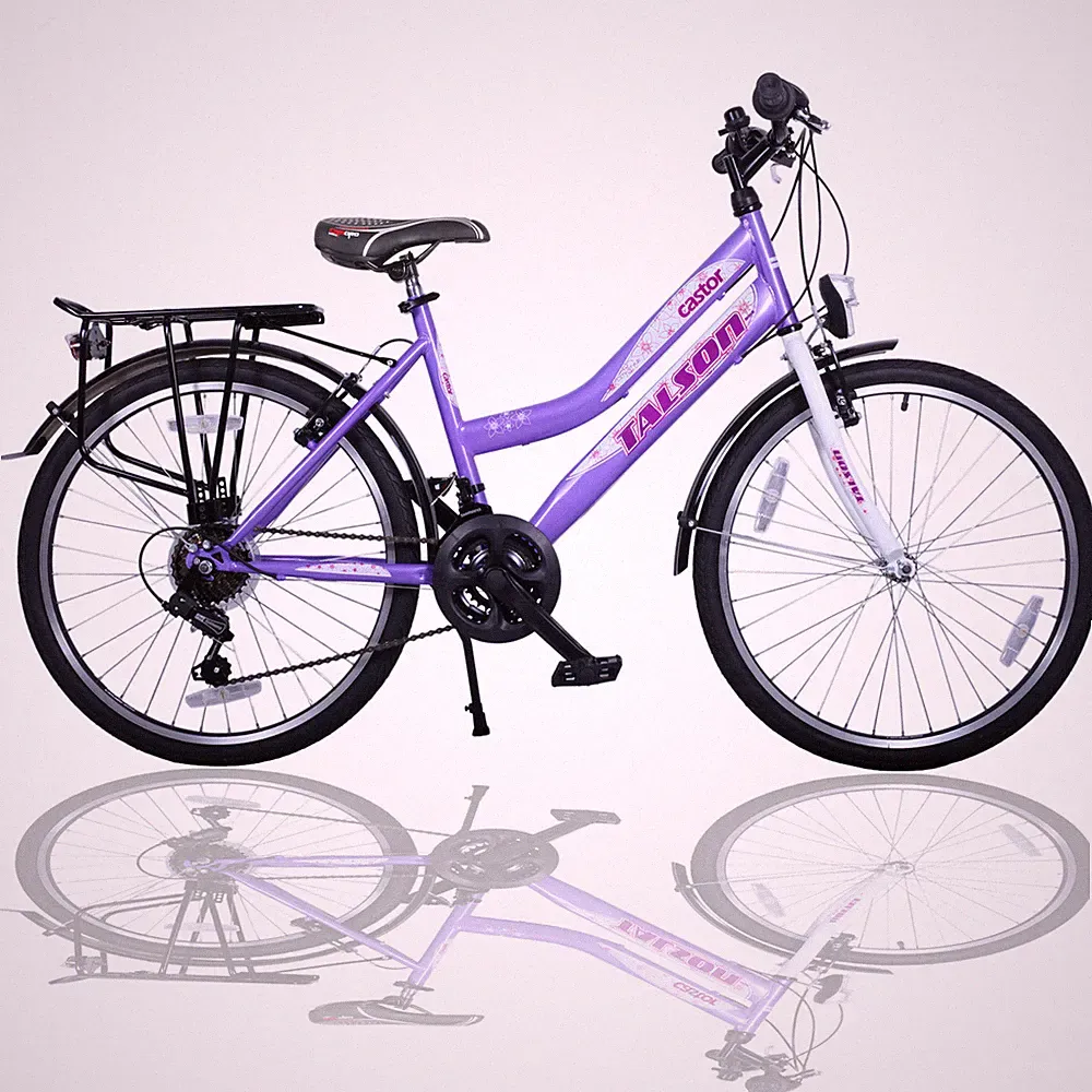 24 ZOLL MÄDCHENFAHRRAD SHIMANO 21GANG 24" FAHRRAD LILA-WEISS MIT BELEUCHTUNG 630