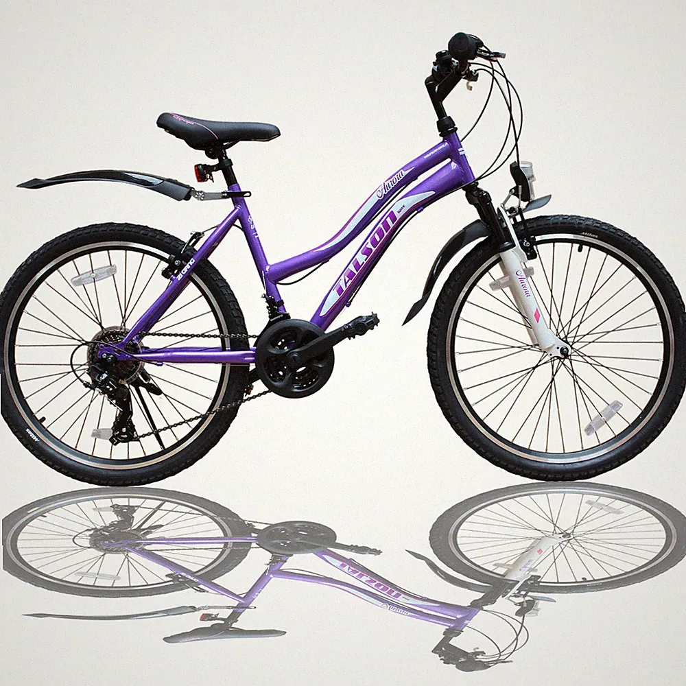 24 Zoll Mountainbike 21Gang SHIMANO Kinder Fahrrad - Beleuchtung - Federung Lila