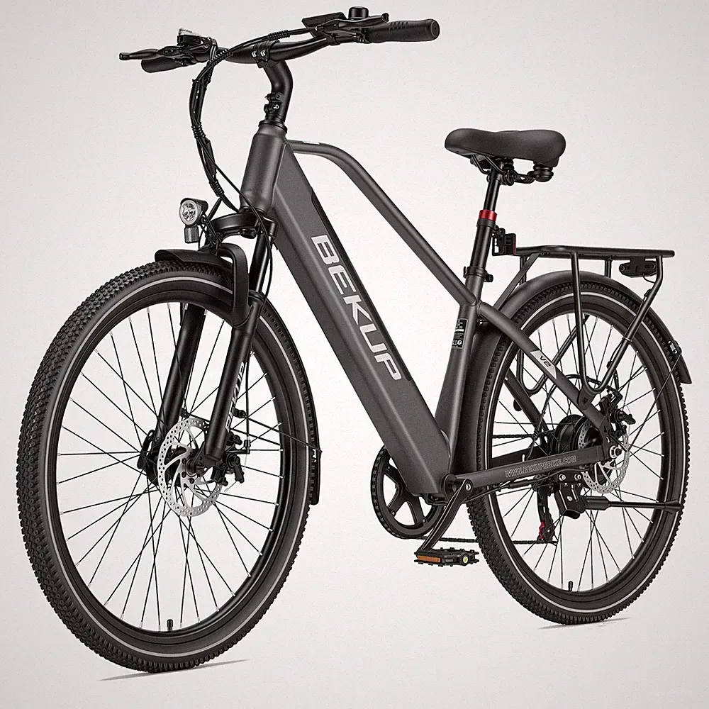 26 Zoll E-Trekkingbike 36V 14,5Ah 250W 7-Gang bis 75 km 45Nm LCD Scheibenbremsen