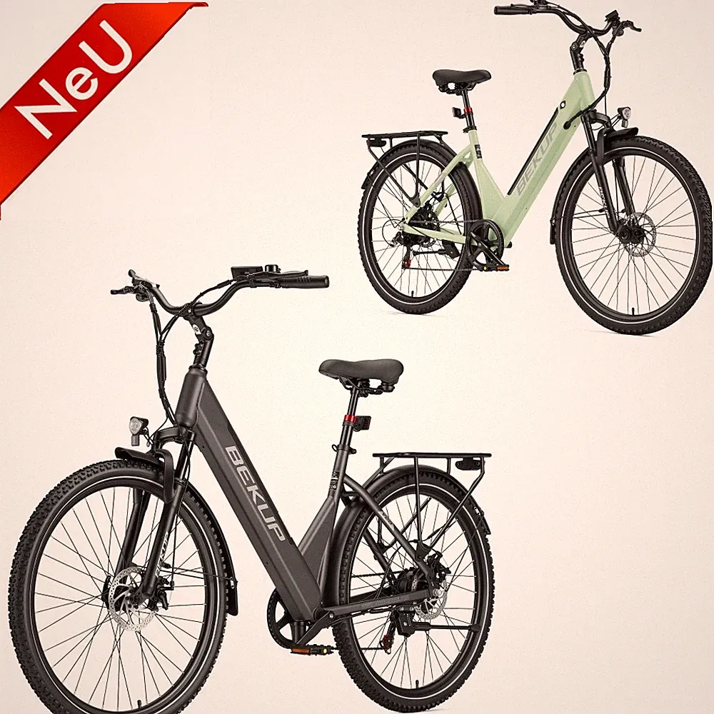 28 Zoll Elektrofahrrad 250W Trekking E City bike 36V 14.5AH E-Bike Pedelec 7Gäng