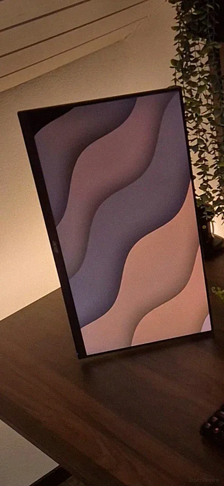 Acer Monitor 24,5 Zoll Full HD 75Hz 1ms ohne Standfuß