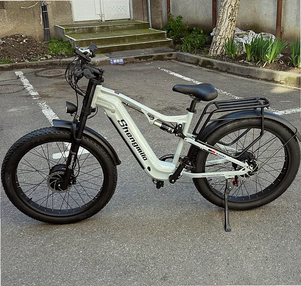 Dual Motor 2000W Elektrofahrrad Mountainbike 26Zoll Fat Tire City E-Bike Pedelec
