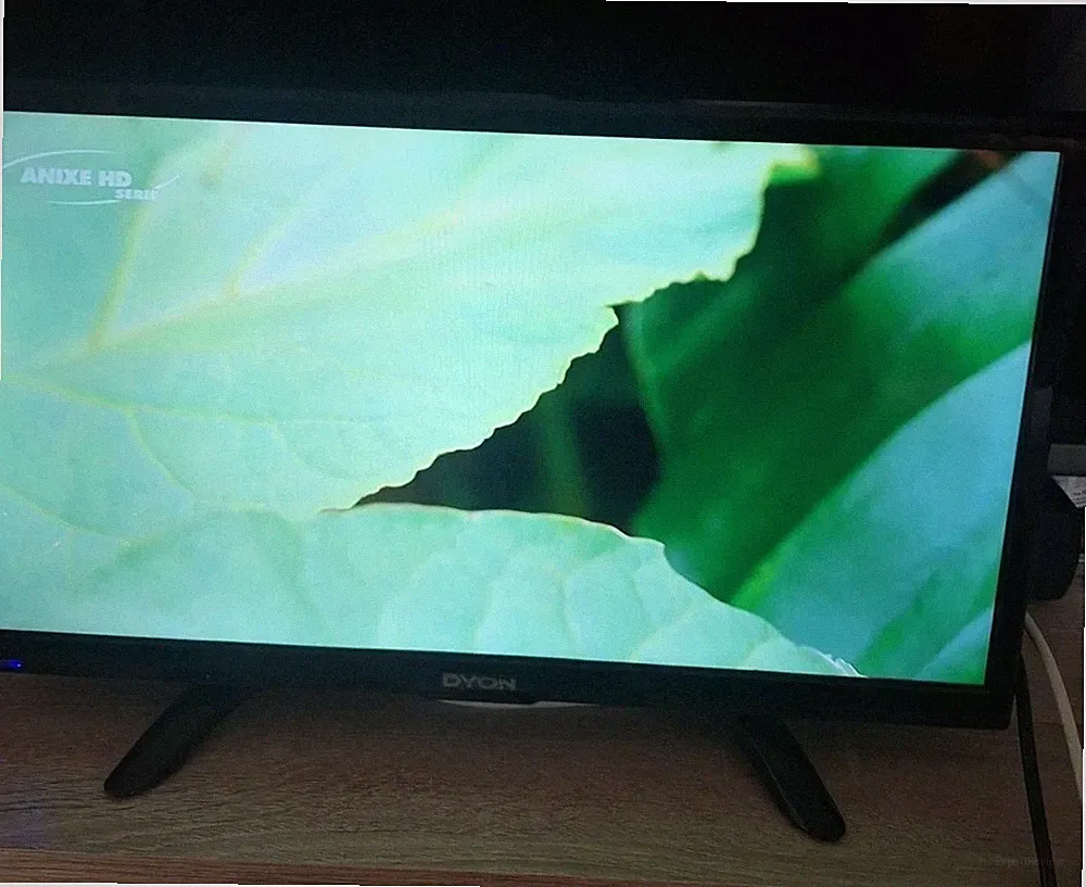 DYON Enter 20 Pro 49,5 cm 20 Zoll TV