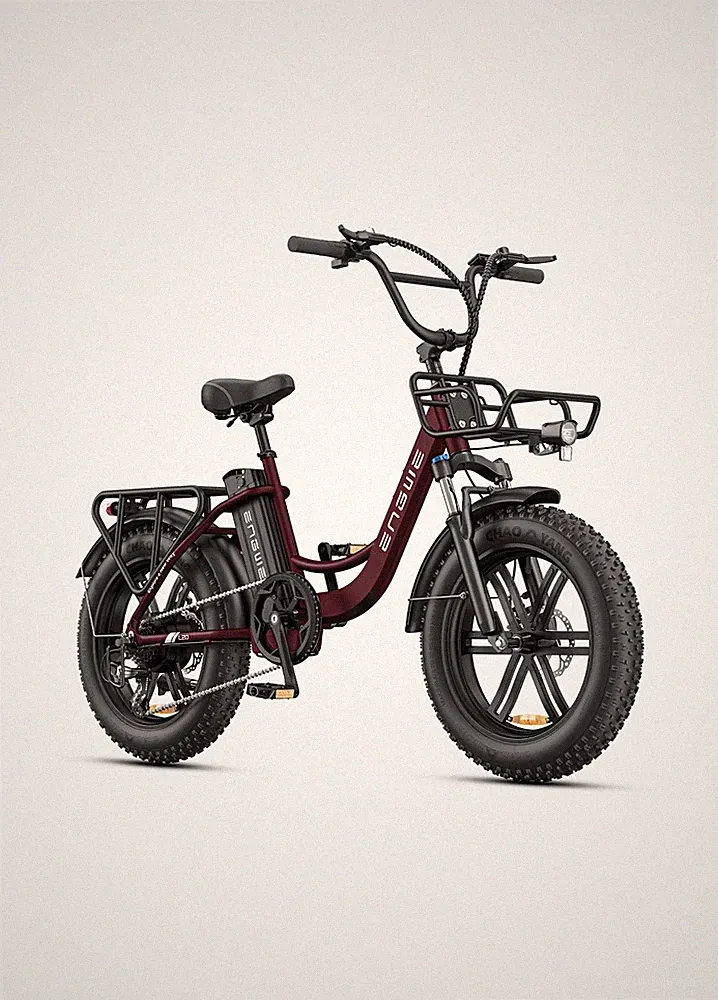 E BIKE City Electric Fat Bike 250W 20 Zoll 126KM Elektrofahrrad 7 Gänge 48V 13AH
