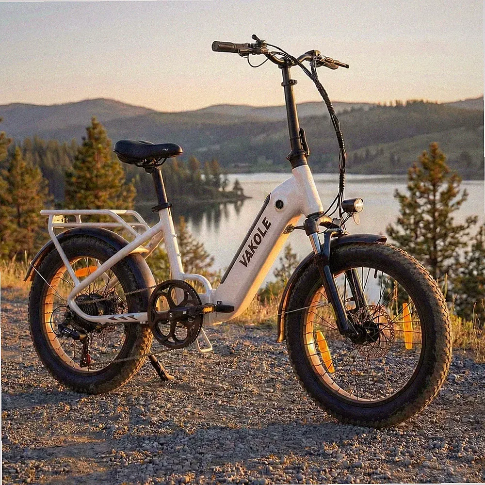 E-Bike Klapprad 20 Zoll Fatbike, 13Ah Akku, Faltrad Elektrofahrrad Pedelec - VT4