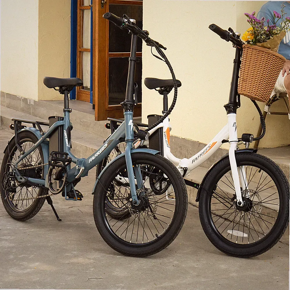 FAFREES 20 Zoll Klapprad e Bike Elektrofahrrad 250W Pedelec Faltrad Damenfahrrad