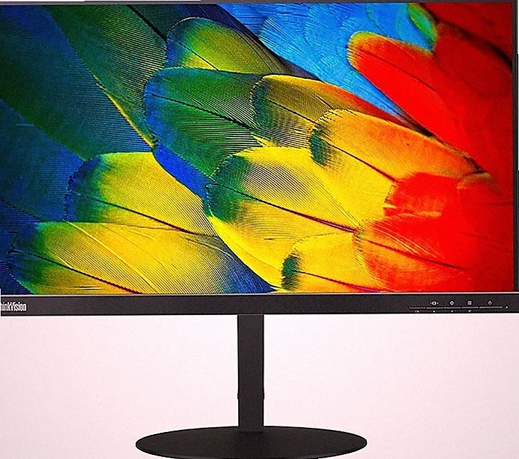 LENOVO T24M-10 60.5CM (23.8") LCD TFT Pivot Höhenverstellbar IPS 61CFRAT2EU NEU