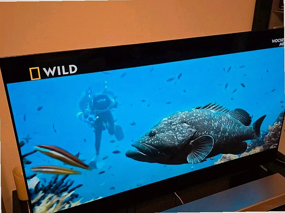 LG OLED55G19LA 55 Zoll 4K UHD OLED evo Smart-TV (LG G1 EVO)
