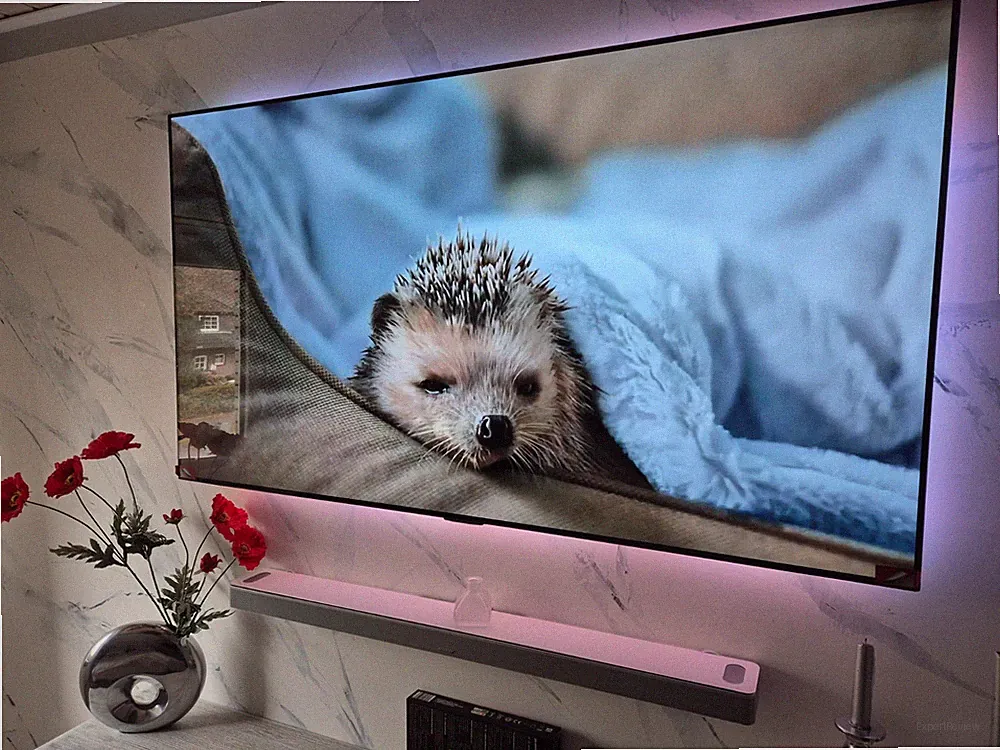 LG OLED65G19LA TV 164 cm (65 Zoll) 4K OLED Fernseher mit Ambilight