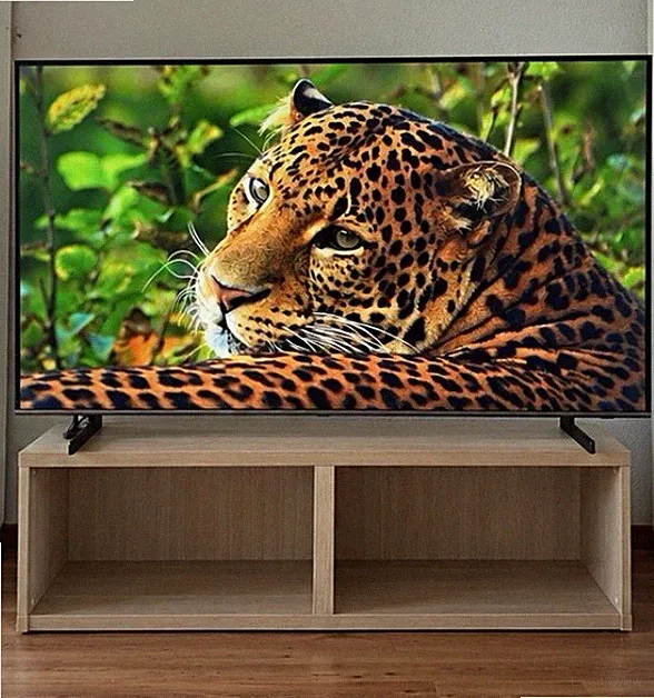 Samsung 65 Zoll QLED 4K Smart TV, Modell QE65Q67BAUXXN