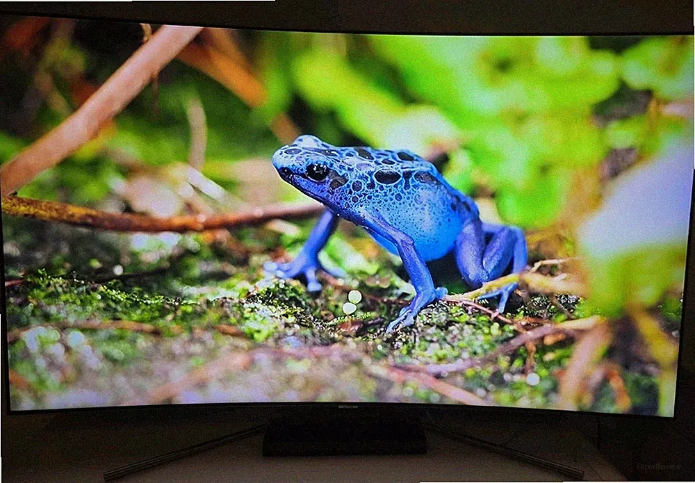 Samsung QE65Q7CGM 65 Zoll Curved Smart-TV Fernseher