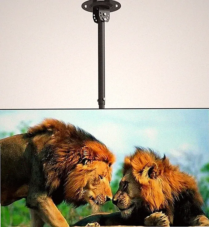 Suptek TV Decken-Halterung 37-75 Zoll Fernseher, höhenverstellbar, bis 59,9 kg