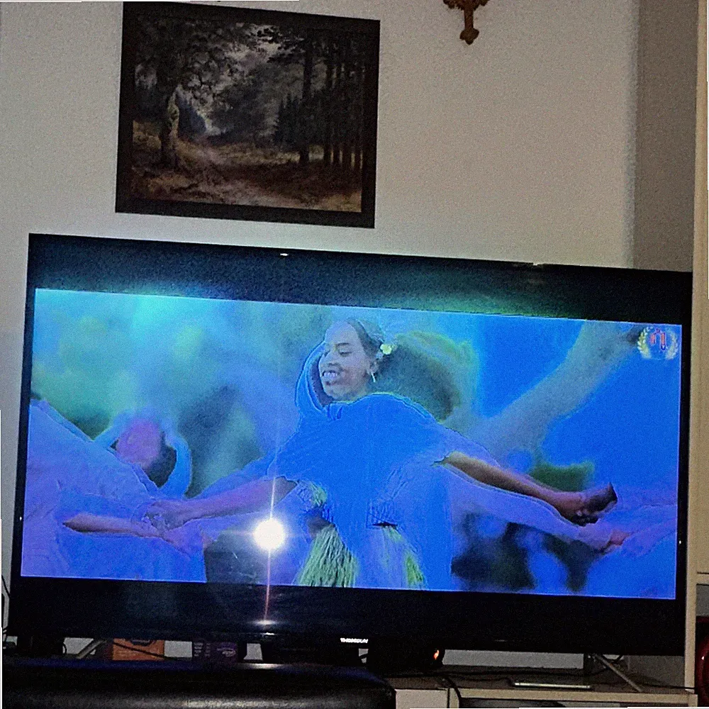 Thomson Fernseher 55 Zoll LED 1080p FHD TELEFUNKEN XH24J501VD