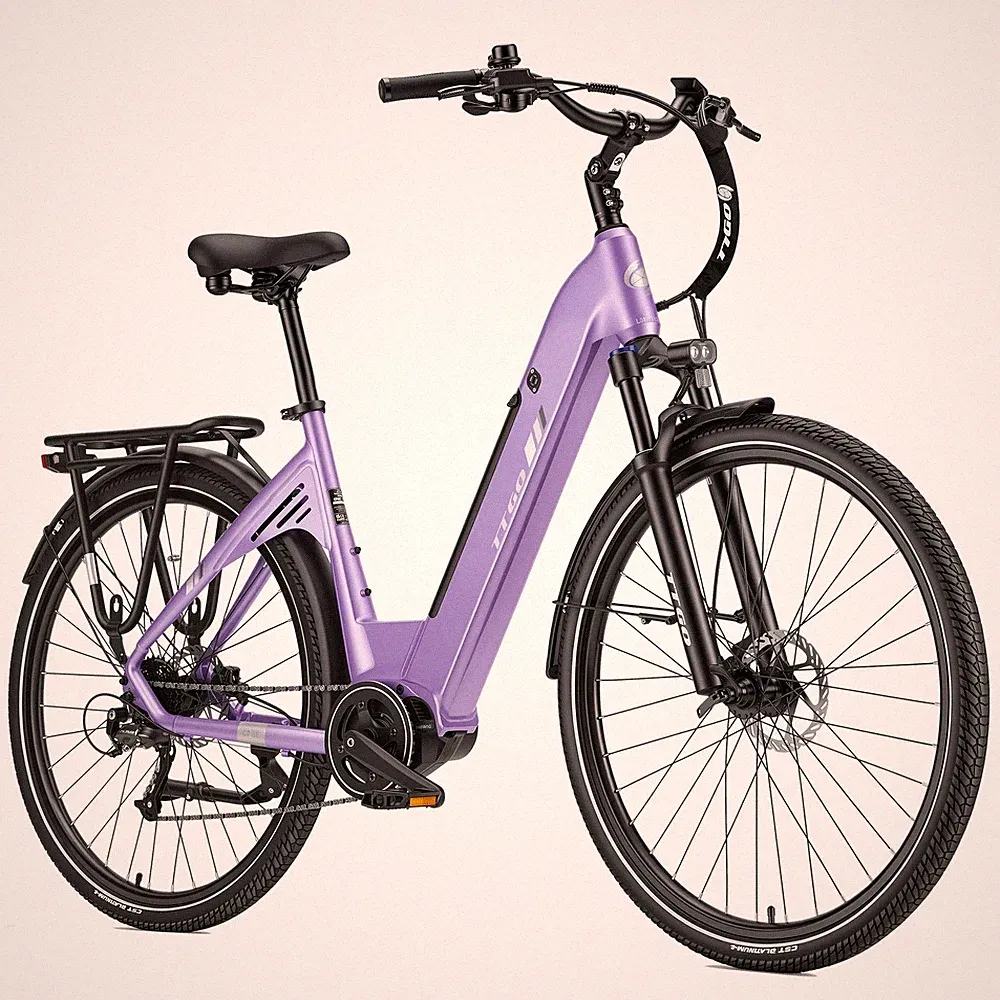 TTGO C7 SE Elektrofahrrad 250W BAFANG Mittelmotor 18AH 28" City eBike 140KM 75NM