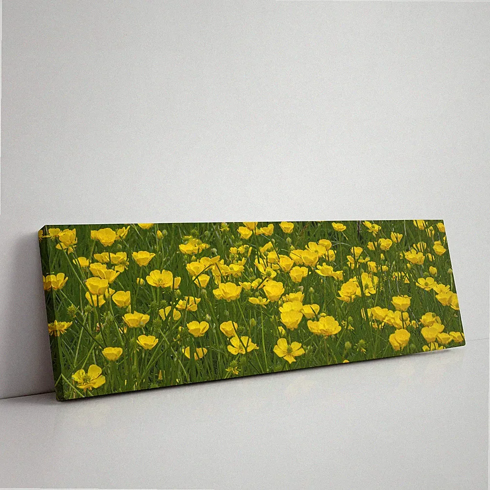 Wilde Blumen, Schmetterlinge, Panorama Leinwand Bild Druck. Größenwahl.